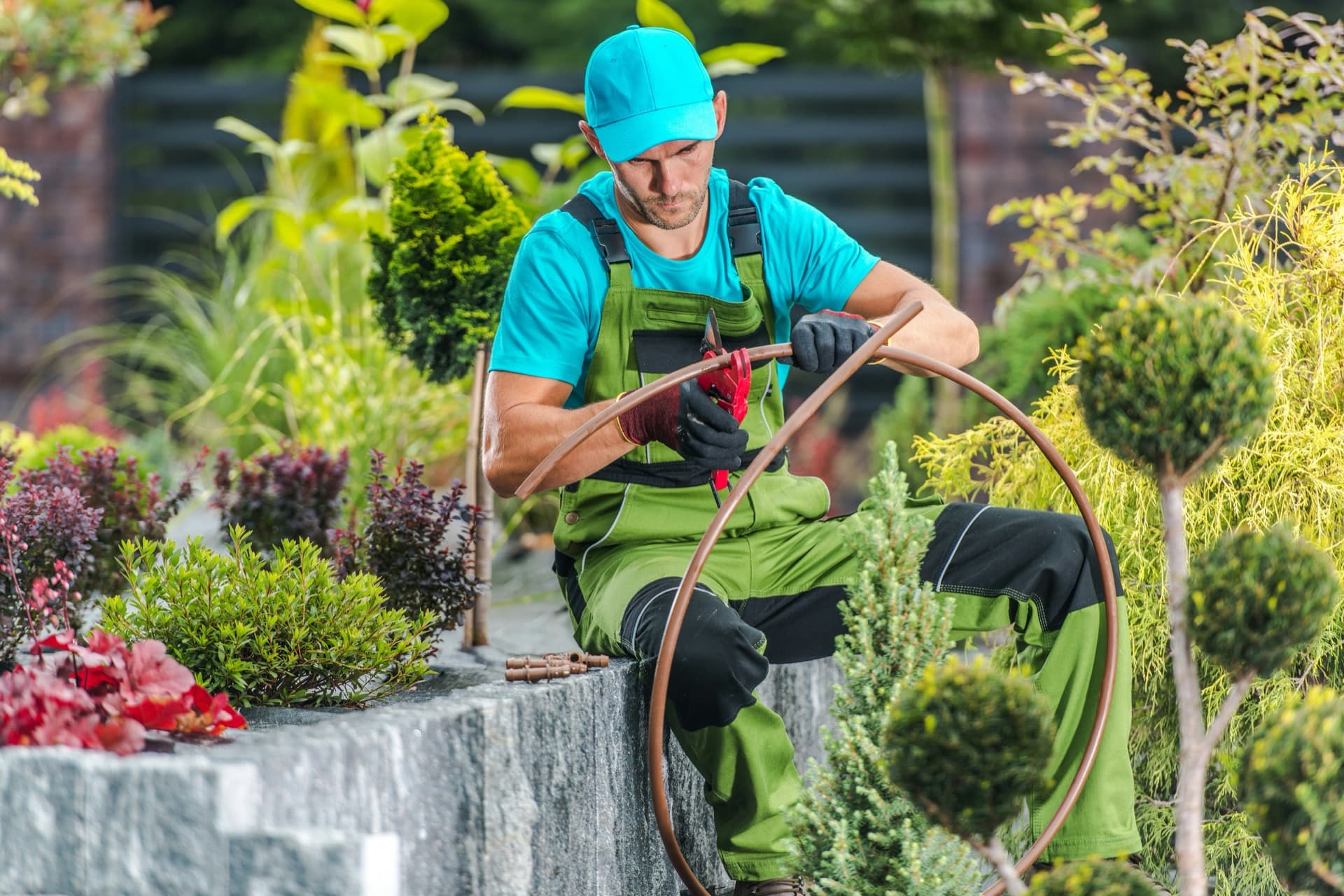 Landscape professional working carefully in a garden