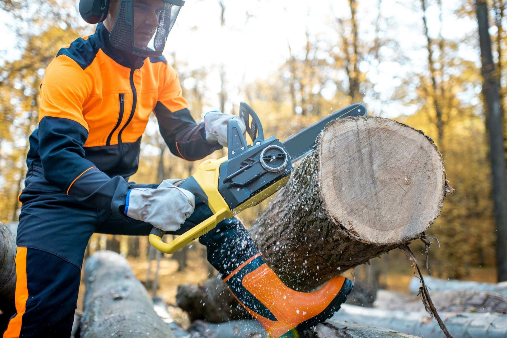 Crew member cutting tree material during stump and tree cleanup work